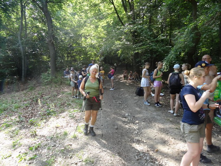 Odkryj Beskid Wyspowy 2012 - Grodzisko - trasa - 8.07.2012 r., fot. Odkryj Beskid Wyspowy 
