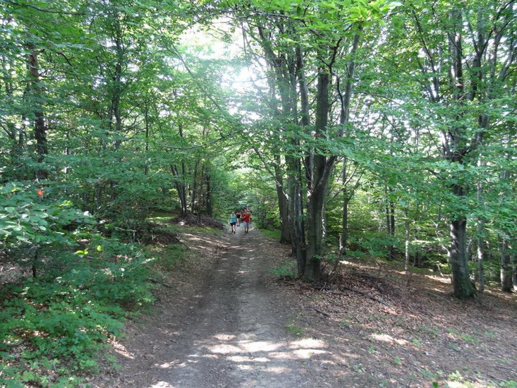 Odkryj Beskid Wyspowy 2012 - Grodzisko - trasa - 8.07.2012 r., fot. Odkryj Beskid Wyspowy 