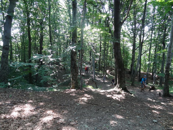 Odkryj Beskid Wyspowy 2012 - Grodzisko - trasa - 8.07.2012 r., fot. Odkryj Beskid Wyspowy 
