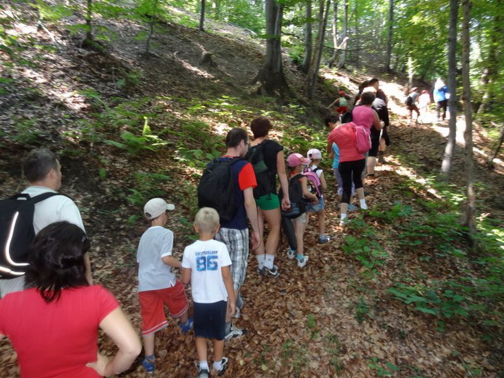 Odkryj Beskid Wyspowy 2012 - Grodzisko - trasa - 8.07.2012 r., fot. Odkryj Beskid Wyspowy 