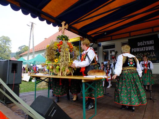Doynki Powiatowe w Winiowej 2013, J 