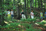 Odkryj Beskid Wyspowy 2012 - Grodzisko - trasa<br />8.07.2012 r., fot. Odkryj Beskid Wyspowy 