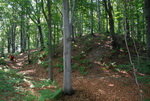 Odkryj Beskid Wyspowy 2012 - Grodzisko - trasa<br />8.07.2012 r., fot. Odkryj Beskid Wyspowy 