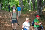 Odkryj Beskid Wyspowy 2012 - Grodzisko - trasa<br />8.07.2012 r., fot. Odkryj Beskid Wyspowy 
