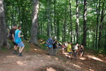 Odkryj Beskid Wyspowy 2012 - Grodzisko - trasa<br />8.07.2012 r., fot. Odkryj Beskid Wyspowy 