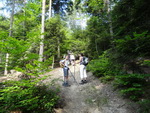 Odkryj Beskid Wyspowy 2012 - Grodzisko - trasa<br />8.07.2012 r., fot. Odkryj Beskid Wyspowy 