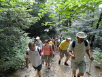 Odkryj Beskid Wyspowy 2012 - Grodzisko - trasa<br />8.07.2012 r., fot. Odkryj Beskid Wyspowy 