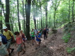 Odkryj Beskid Wyspowy 2012 - Grodzisko - trasa<br />8.07.2012 r., fot. Odkryj Beskid Wyspowy 