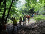Odkryj Beskid Wyspowy 2012 - Grodzisko - trasa<br />8.07.2012 r., fot. Odkryj Beskid Wyspowy 