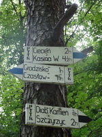 Odkryj Beskid Wyspowy 2012 - Grodzisko - trasa<br />8.07.2012 r., fot. Odkryj Beskid Wyspowy 