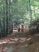 Odkryj Beskid Wyspowy 2012 - Grodzisko - trasa<br />8.07.2012 r., fot. Odkryj Beskid Wyspowy 