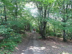Odkryj Beskid Wyspowy 2012 - Grodzisko - trasa<br />8.07.2012 r., fot. Odkryj Beskid Wyspowy 
