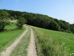 Odkryj Beskid Wyspowy 2012 - Grodzisko - trasa<br />8.07.2012 r., fot. Odkryj Beskid Wyspowy 