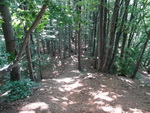 Odkryj Beskid Wyspowy 2012 - Grodzisko - trasa<br />8.07.2012 r., fot. Odkryj Beskid Wyspowy 