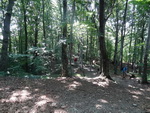 Odkryj Beskid Wyspowy 2012 - Grodzisko - trasa<br />8.07.2012 r., fot. Odkryj Beskid Wyspowy 