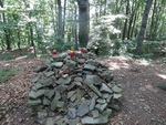 Odkryj Beskid Wyspowy 2012 - Grodzisko - trasa<br />8.07.2012 r., fot. Odkryj Beskid Wyspowy 
