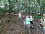 Odkryj Beskid Wyspowy 2012 - Grodzisko - trasa<br />8.07.2012 r., fot. Odkryj Beskid Wyspowy 