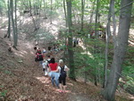 Odkryj Beskid Wyspowy 2012 - Grodzisko - trasa<br />8.07.2012 r., fot. Odkryj Beskid Wyspowy 