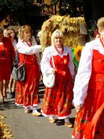 Doynki Powiatowe w Winiowej 2013, J 