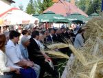 Doynki Powiatowe w Winiowej 2013, J 