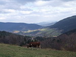 Gminne uroki w obiektywie, Jan Szczepanik 